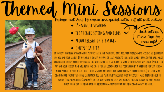 Themed Mini Package